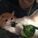 天天熬夜